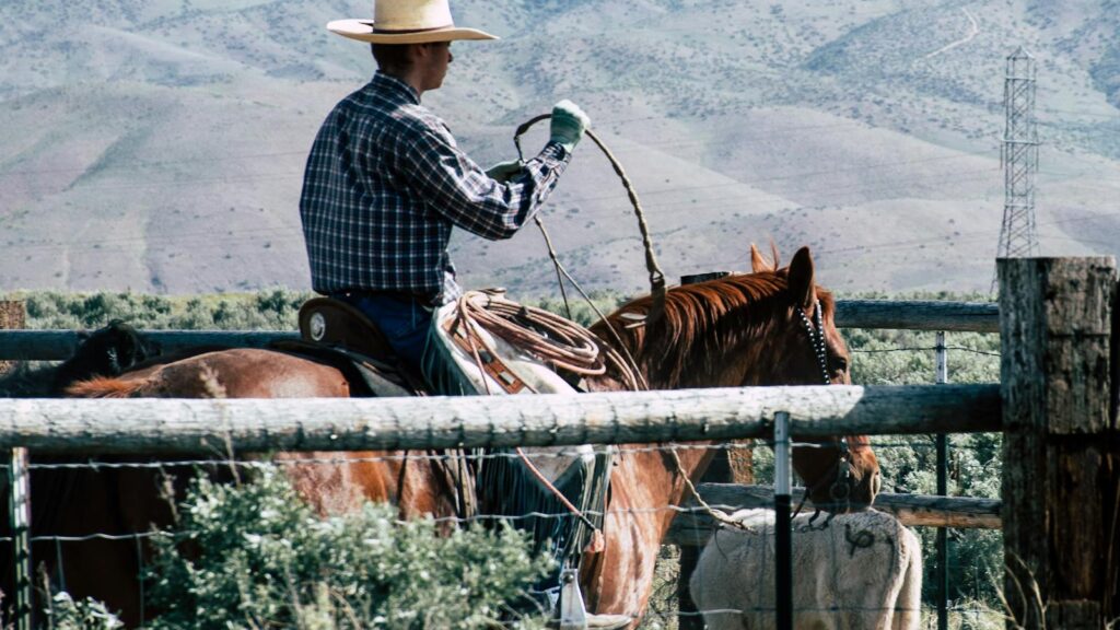 A cowboy rides a horse with a lasso on a farm, surrounded by countryside scenery.