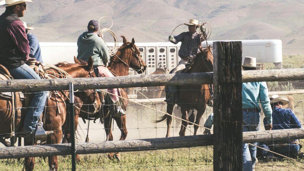 Group of cowboys riding horses on rural ranch, working with livestock under sunny skies.