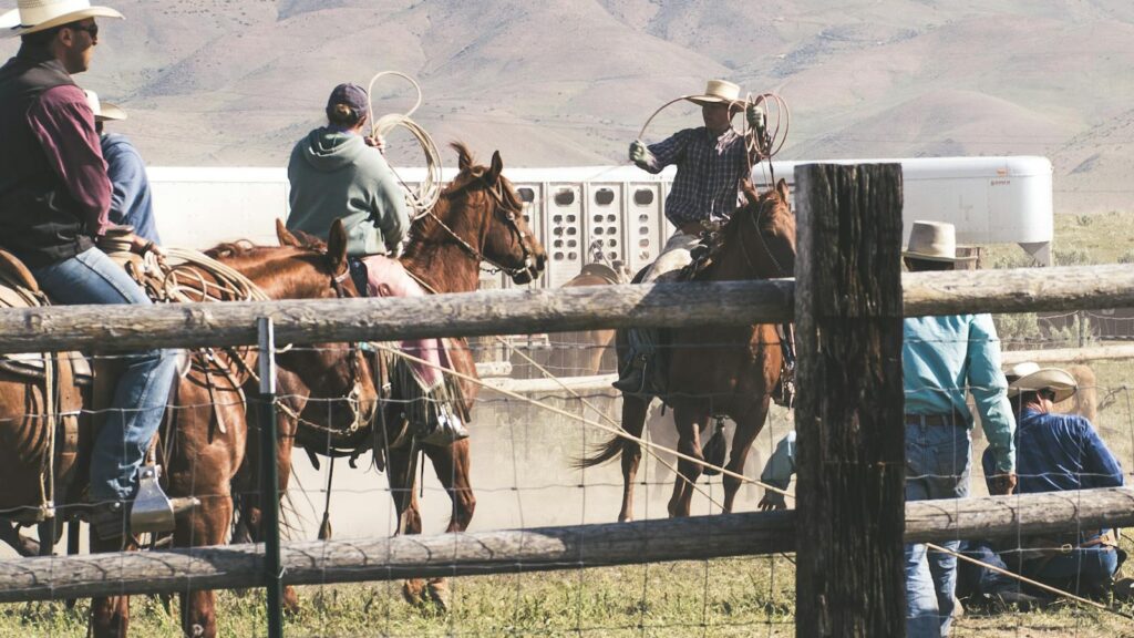 Group of cowboys riding horses on rural ranch, working with livestock under sunny skies.