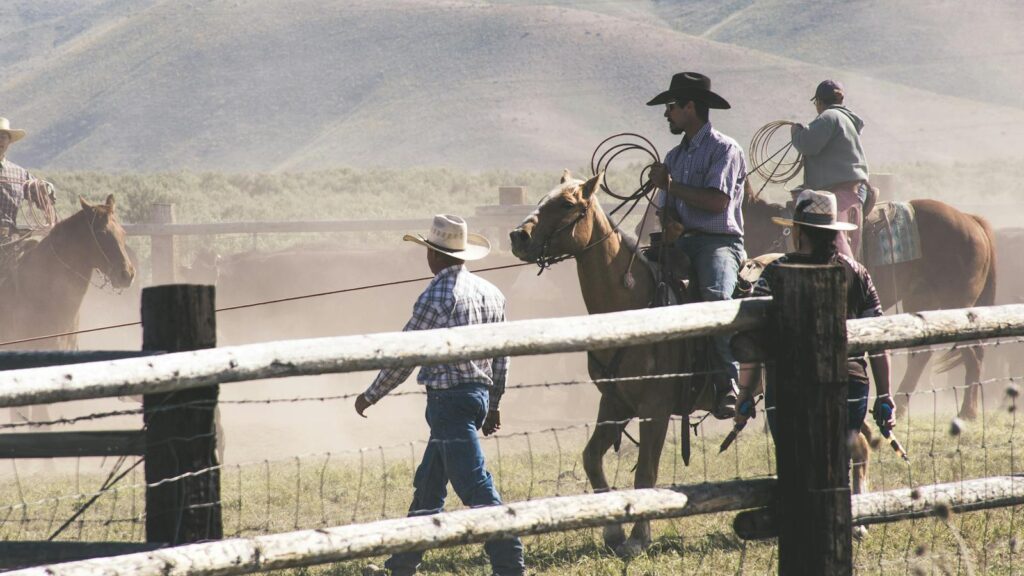 Cowboys on horseback navigating a dusty rural landscape, herding livestock under daylight.