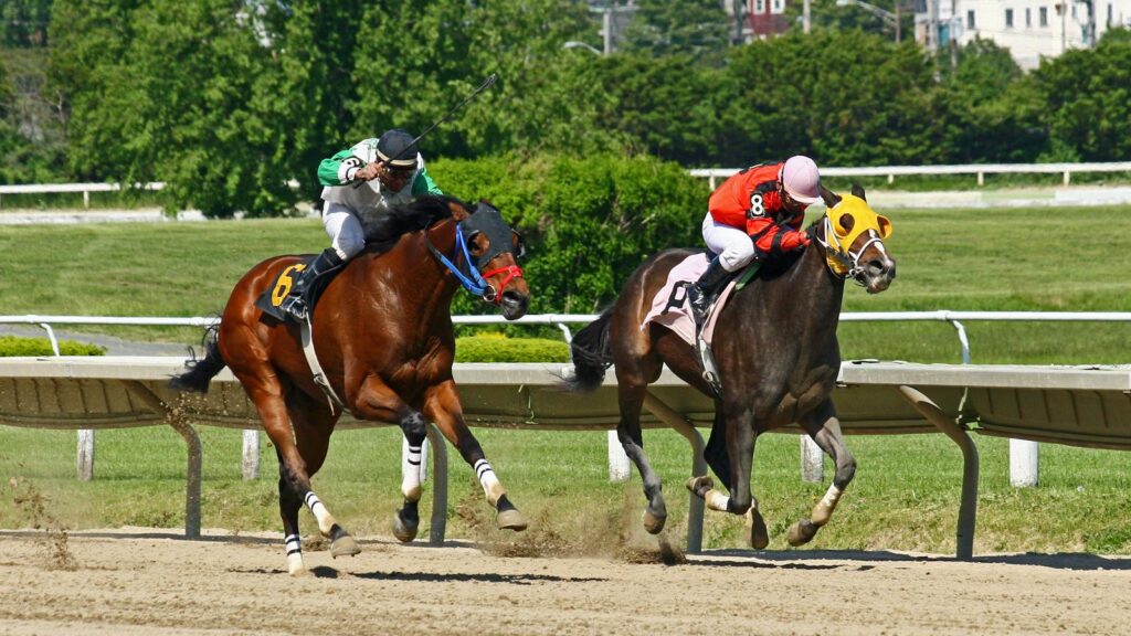Dynamic shot of jockeys racing horses on a sunny day at a racetrack.