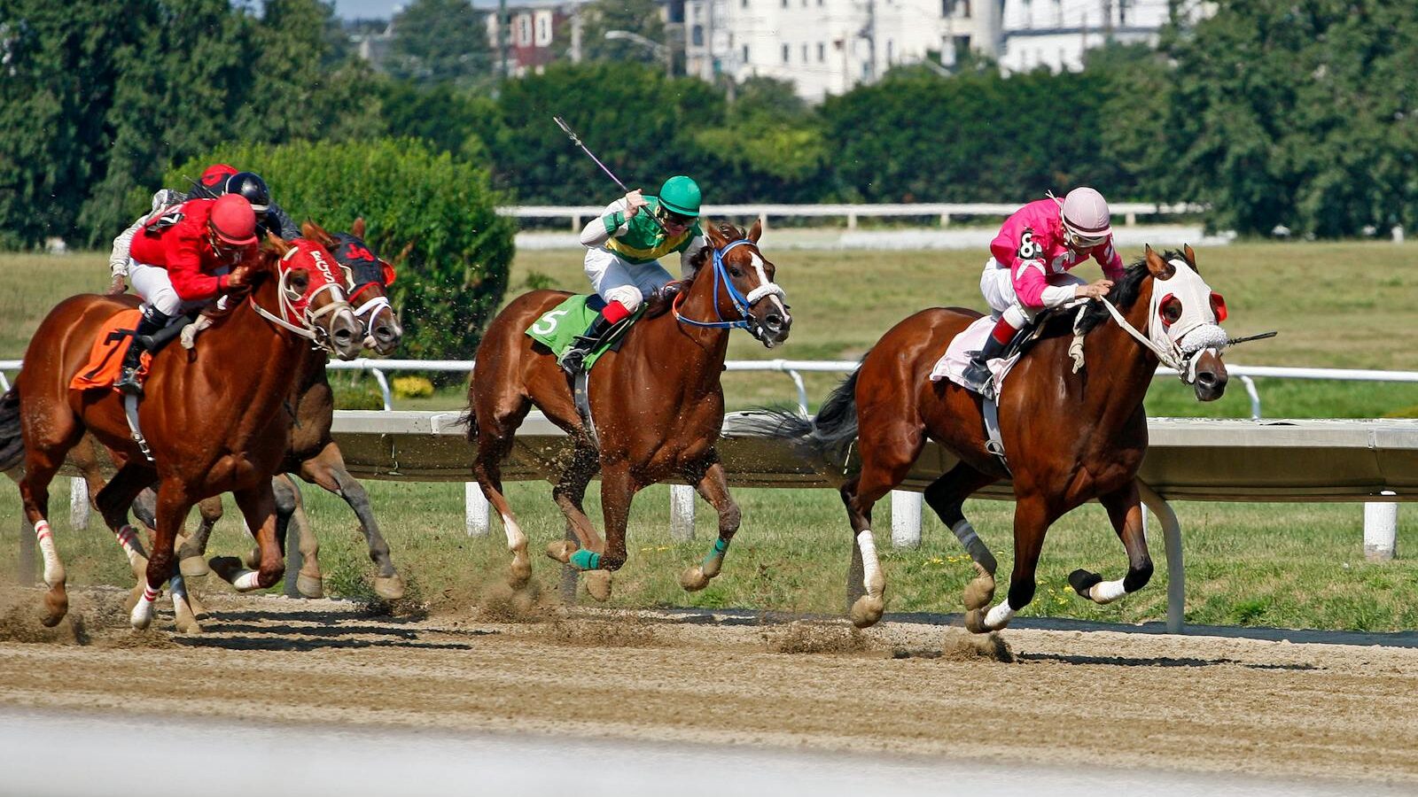 Jockeys racing horses energetically on a sunlit track during an exciting competition.