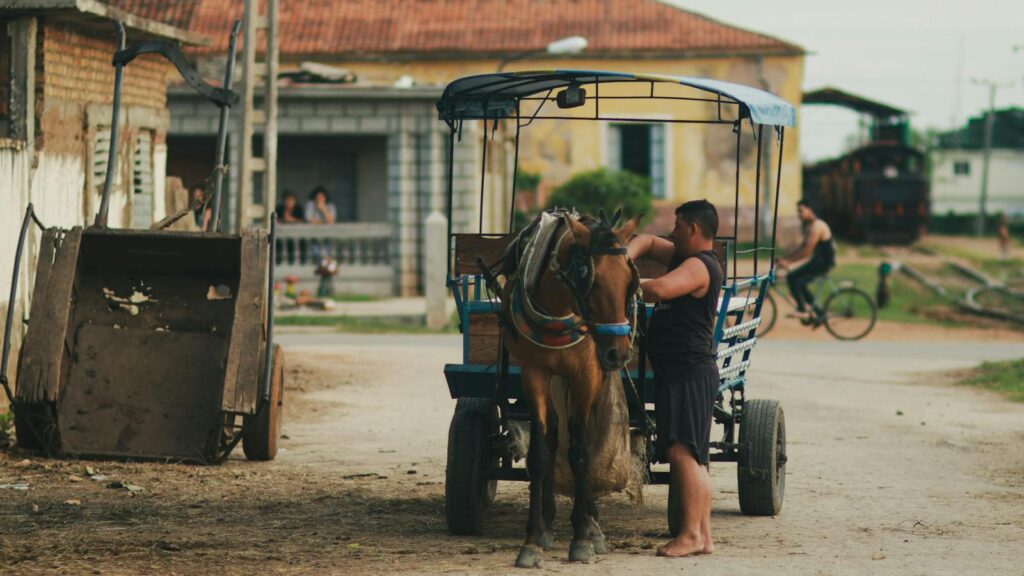 Man standing beside a horse-drawn cart on a village path, capturing rustic life.