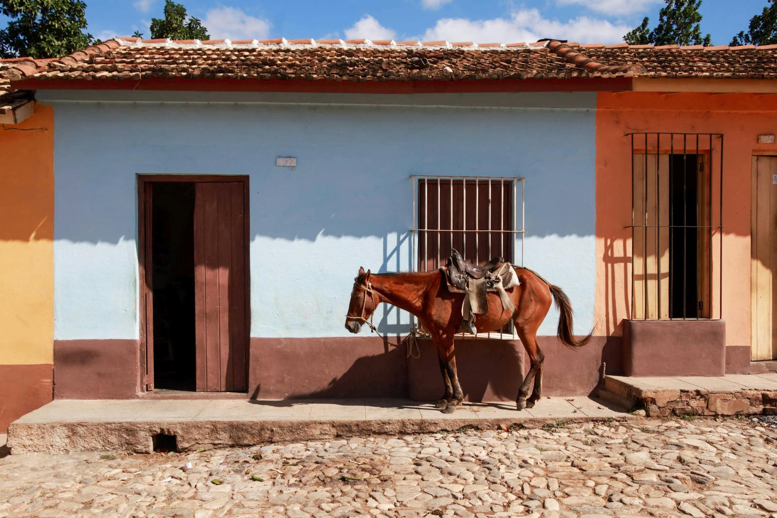 Horse stands beside a vibrant colonial house