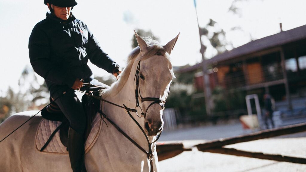 Man in equestrian gear riding a white horse outdoors during sunset.