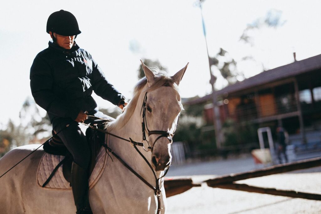 Man in equestrian gear riding a white horse