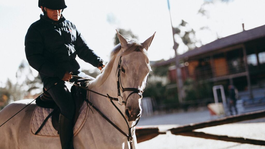 Man in equestrian gear riding a white horse outdoors during sunset.