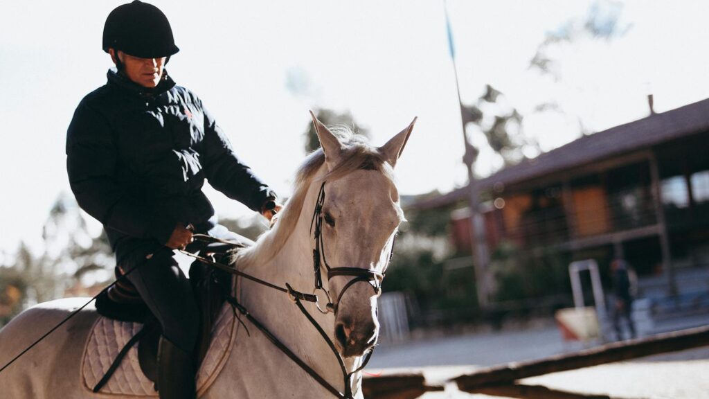 Man in equestrian gear riding a white horse outdoors during sunset.