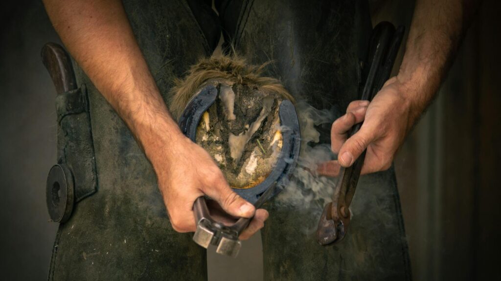 A farrier shaping a horseshoe on a horse's hoof with tools, showcasing skilled craftsmanship.