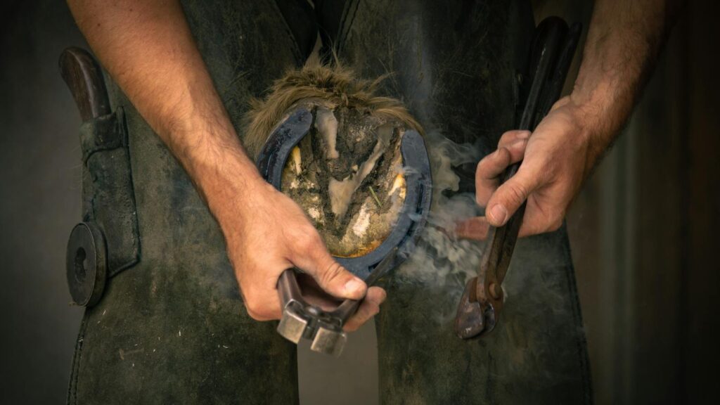 A farrier shaping a horseshoe on a horse's hoof with tools, showcasing skilled craftsmanship.