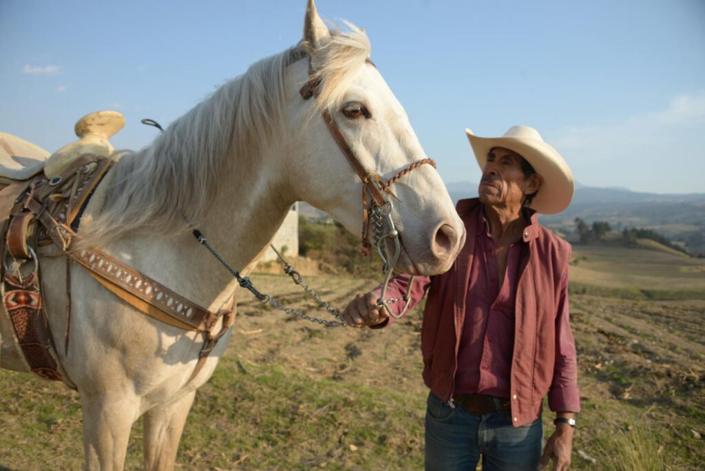 Cowboy in a hat stands by a white horse in a rural landscape