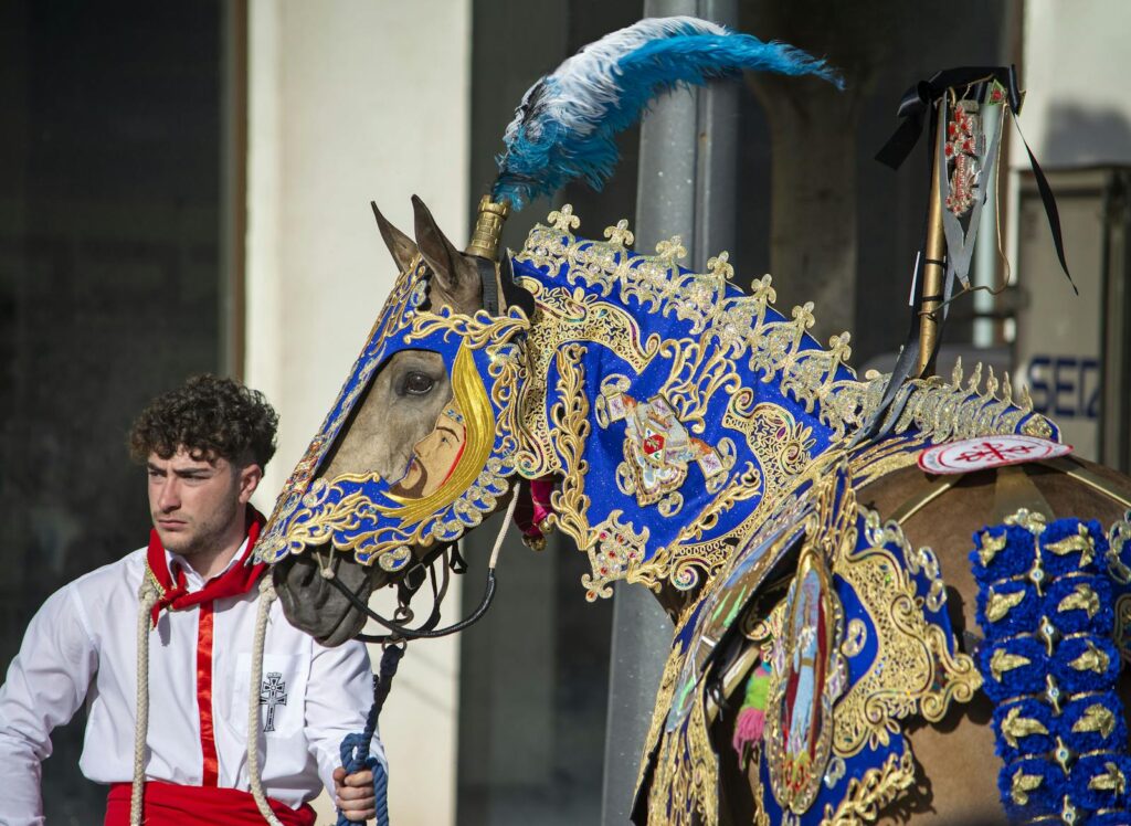 A beautifully adorned horse with intricate decorations in Caravaca de la Cruz festival.