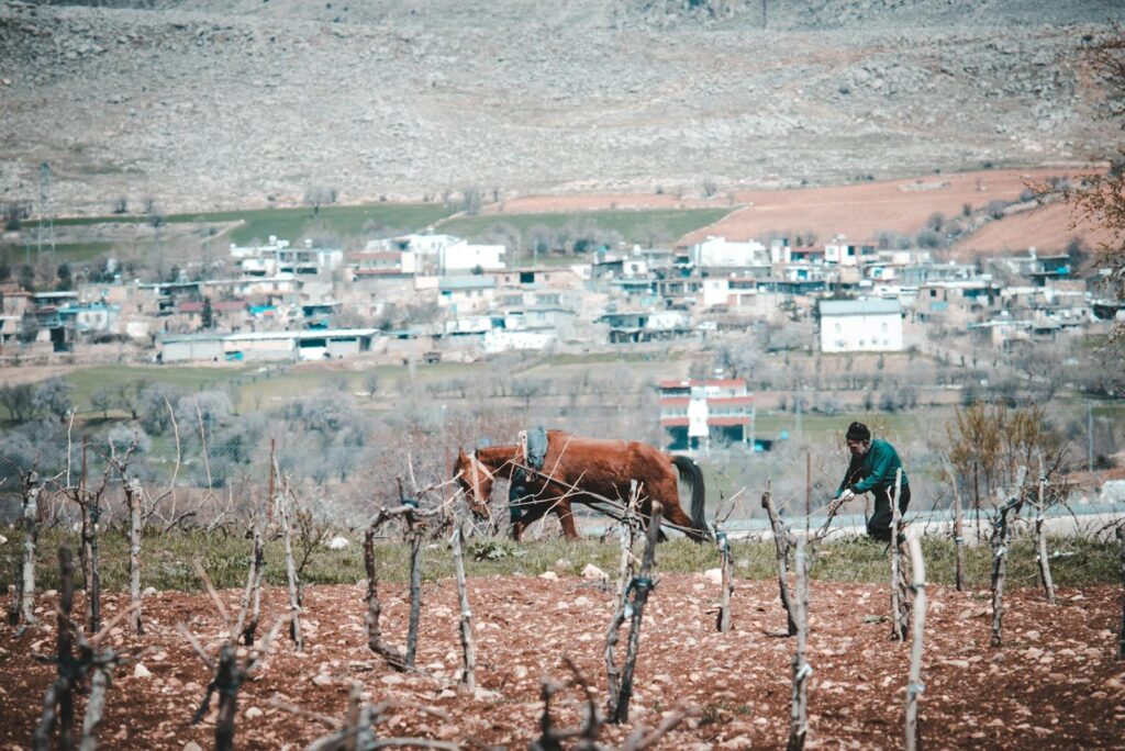 Farmer plows a rural field with a horse in front of a small village