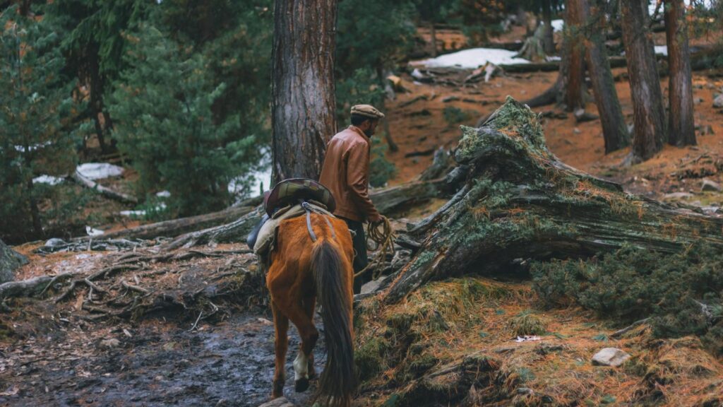A man leads a horse along a forest trail in autumn, surrounded by trees and fallen leaves.