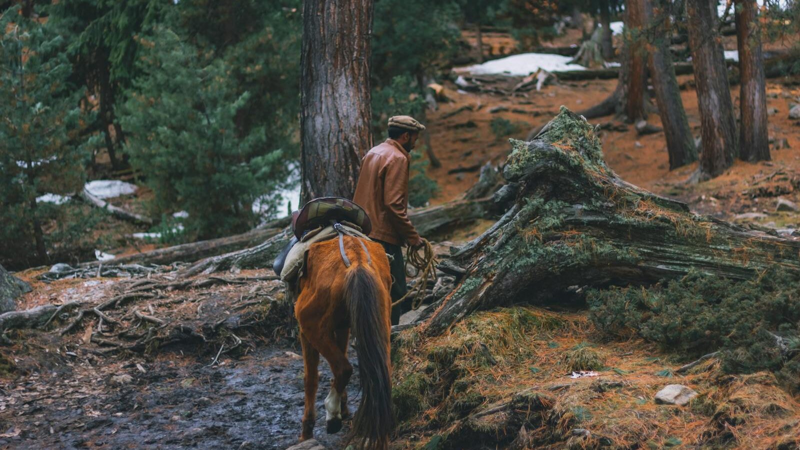 A man leads a horse along a forest trail in autumn, surrounded by trees and fallen leaves.