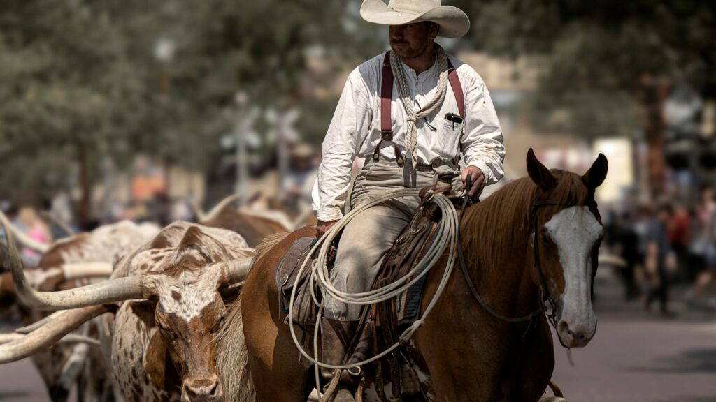 Cowboy on horseback herding Texas Longhorns in Fort Worth, Texas.