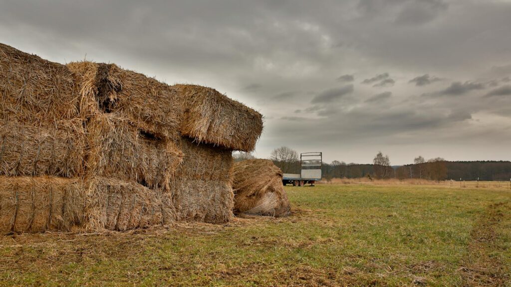 A serene rural landscape featuring stacked hay bales on an overcast day.
