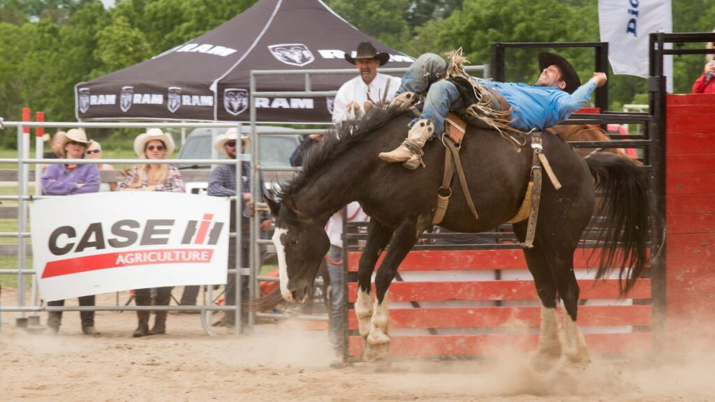 Rodeo cowboy mastering a wild bucking horse in a thrilling competition.