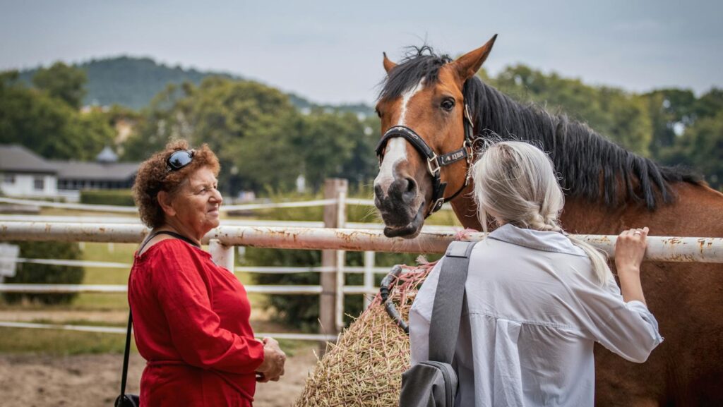Two women engage with a brown horse at a countryside farm, enjoying nature and togetherness.