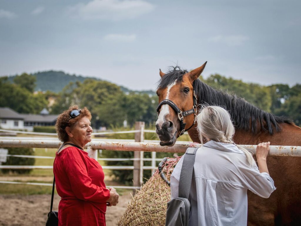 Two women engage with a brown horse at a countryside farm, enjoying nature and togetherness.