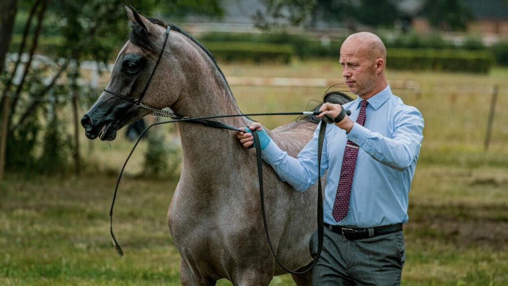 A tie man handle the horse