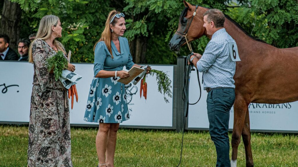 Judges awarding a prize at a horse show outdoors on a sunny day.