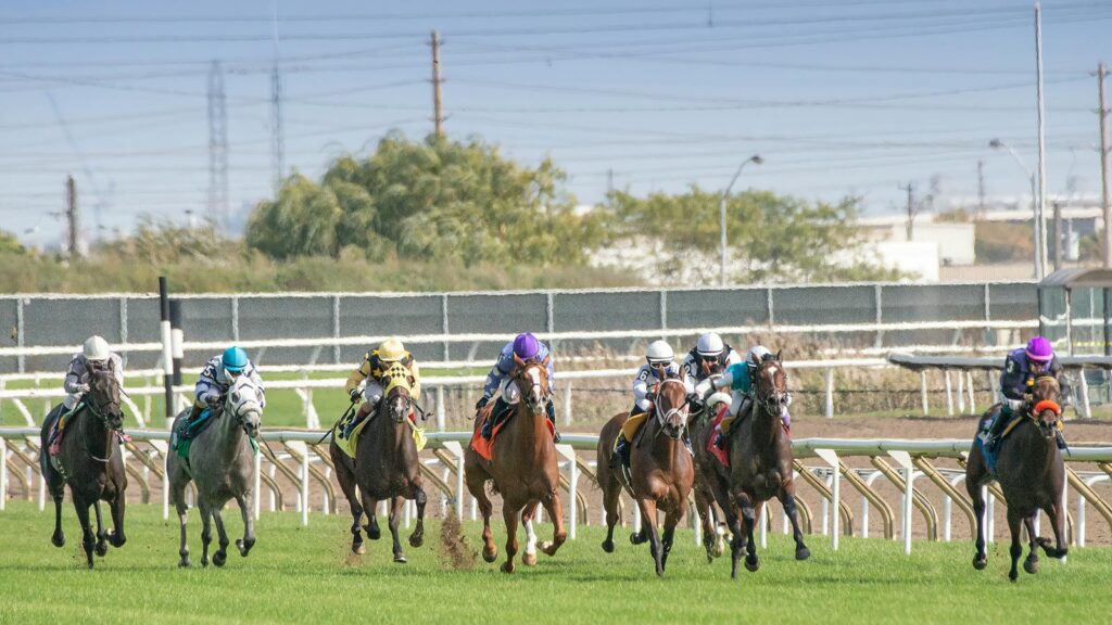 Dynamic horse racing scene showcasing competitive equestrians and galloping horses.