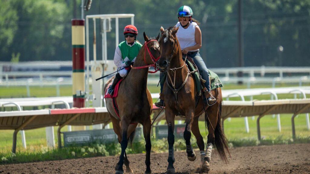 Two equestrians training horses at a race track in Shakopee, MN on a sunny day.