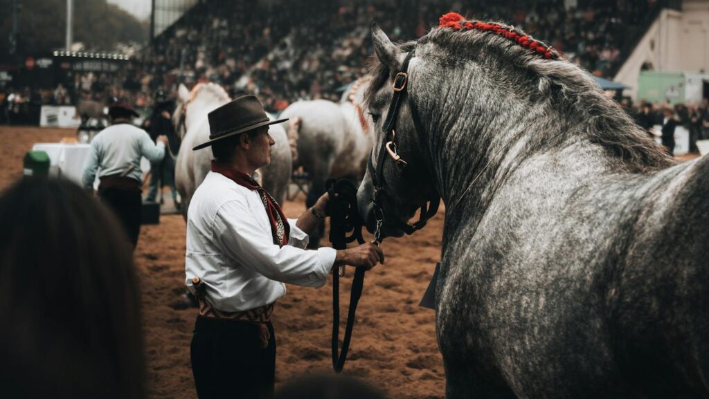 A cowboy guides a horse at a crowded outdoor equestrian event, showcasing a traditional lifestyle.