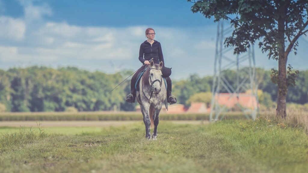 Woman riding a gray horse in a picturesque field under a clear blue sky.
