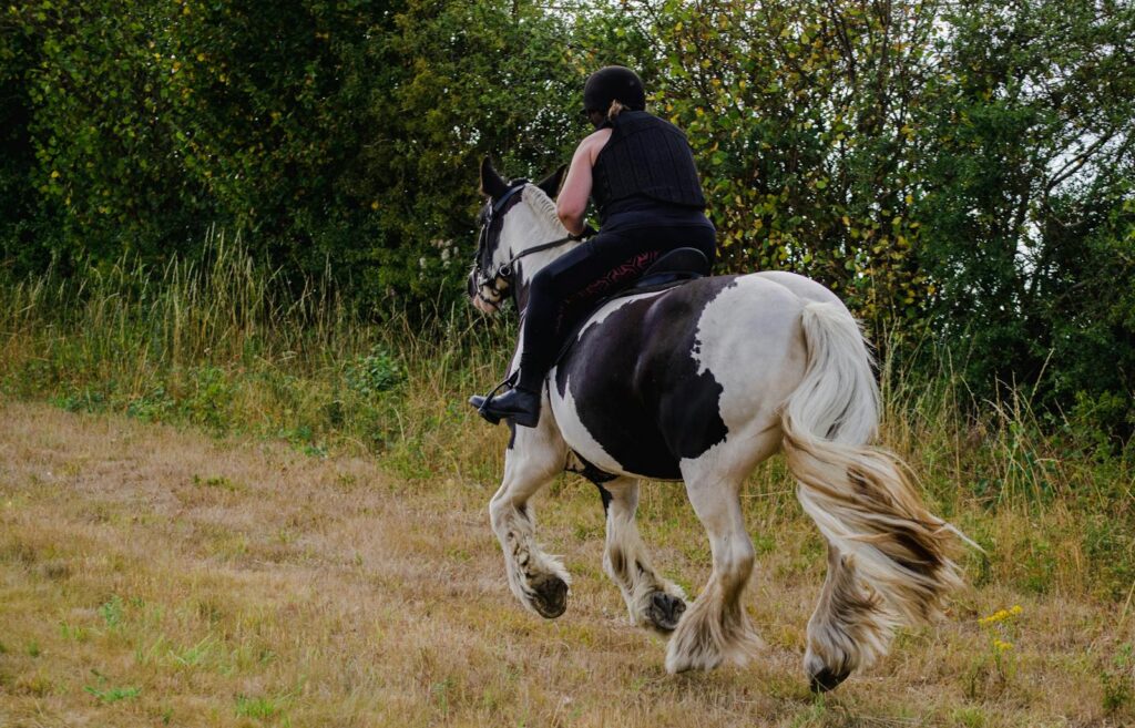 Person riding a white horse