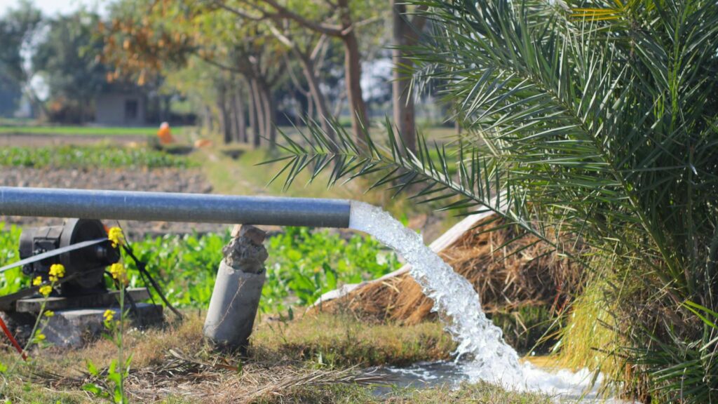 Water from irrigation pipe flowing in a lush rural field in Mehmood Kot, Punjab, Pakistan.