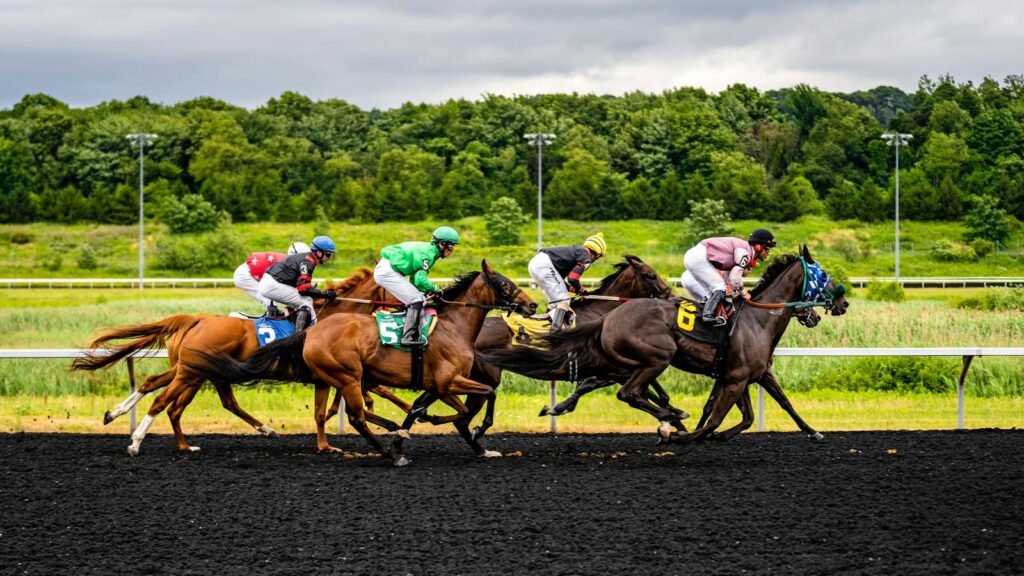 Horse racing action with jockeys and horses competing on racetrack in Erie, PA.