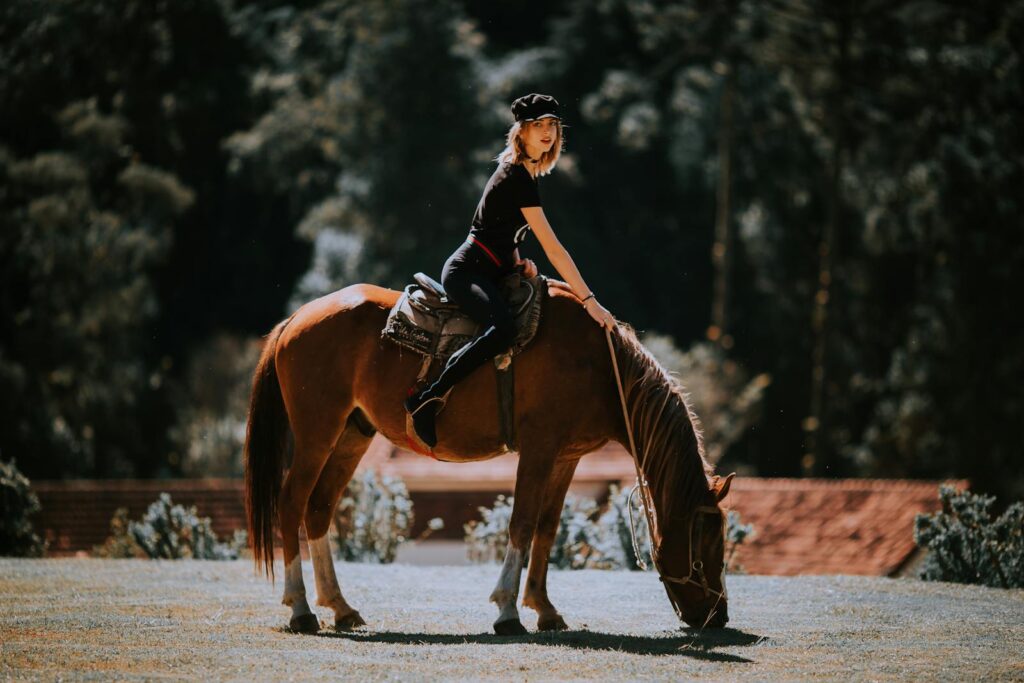 Woman elegantly riding a horse in a sunlit meadow, showcasing harmony with nature.