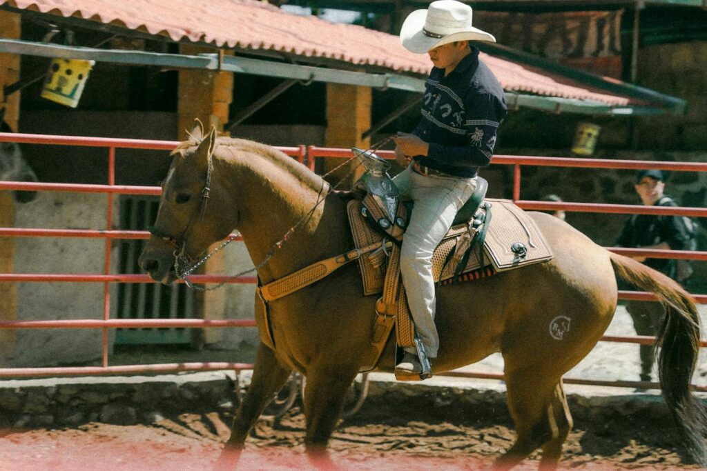Man with cowboy hat riding horse in sunlit rodeo arena, showcasing equestrian skills.