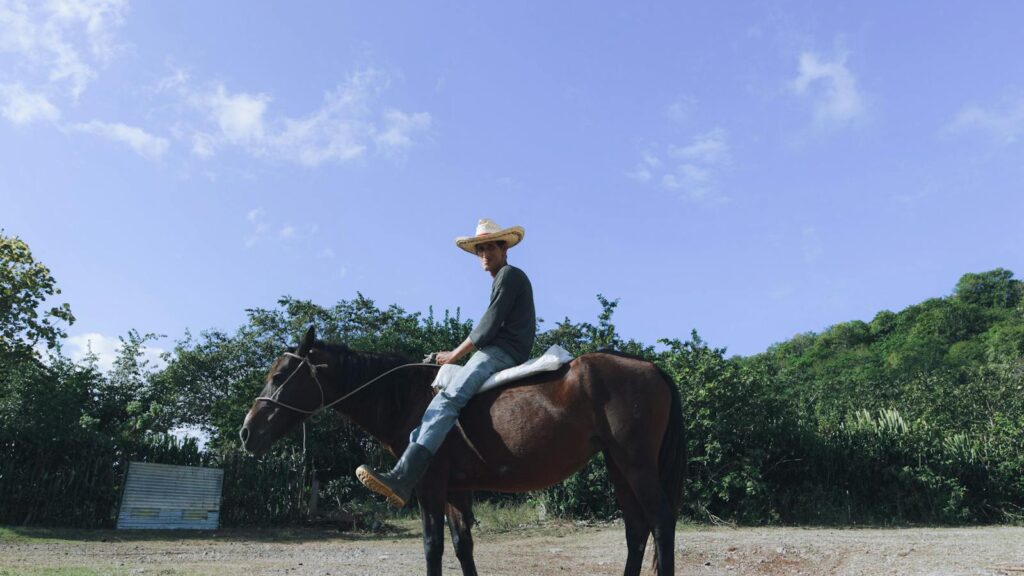 A man wearing a cowboy hat is riding a brown horse outdoors under a blue sky.