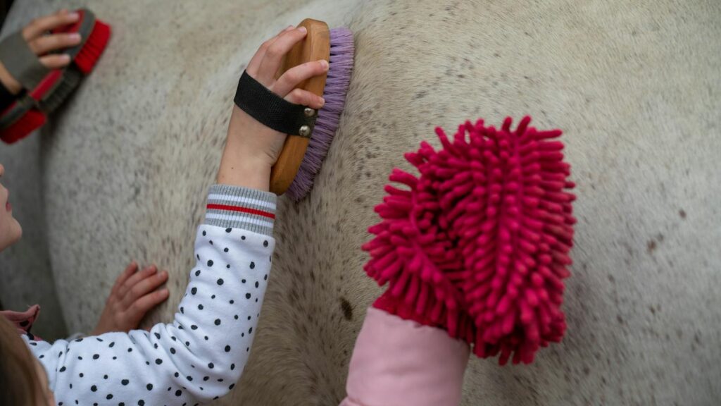 Close-up of children brushing a horse with colorful grooming tools, showcasing hands-on animal care.
