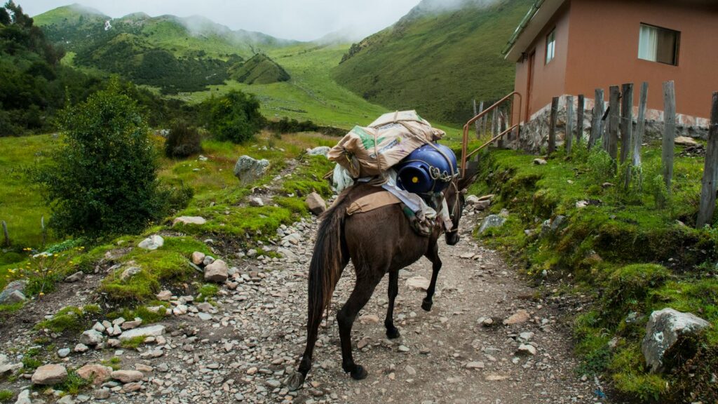 A brown horse carrying freight along a rocky trail in a green mountainous area, beside a rustic building.
