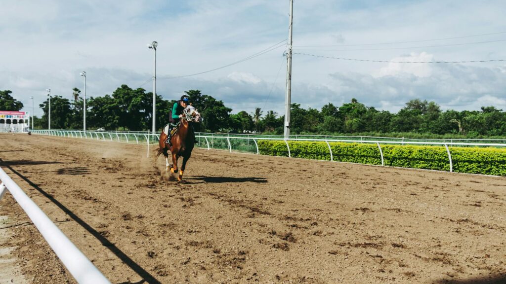 A horseback rider racing on a sunny day, showcasing speed and skill.
