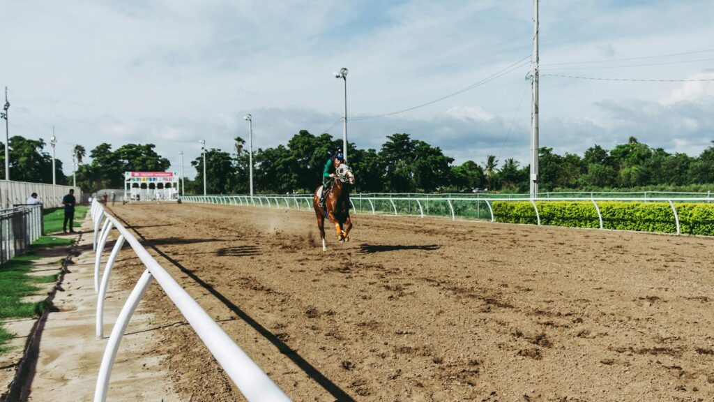 A horse race on a dirt track with a single rider competing in a bright, sunny outdoor setting.