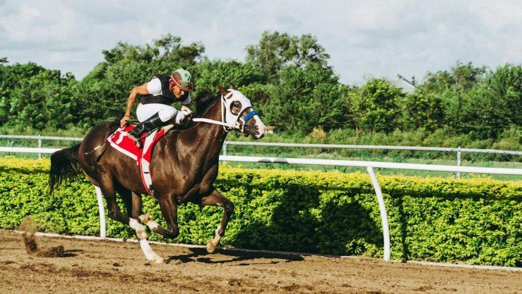 a horse race featuring a skilled equestrian rider in action outdoors.