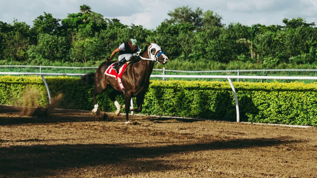 Exciting horse racing action with a jockey during the day outdoors on the track.