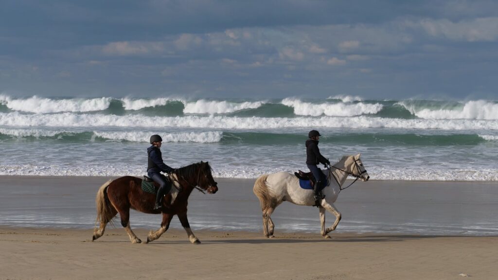 Two riders enjoy horseback riding along a scenic beach with waves in the background.