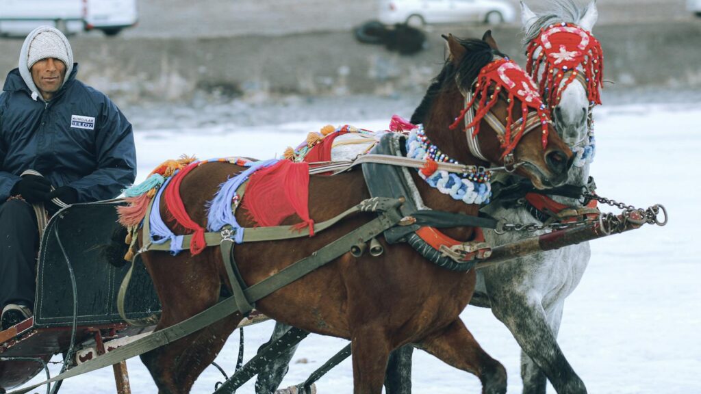 A winter scene showing a man in a decorated horse-drawn sleigh, highlighting winter traditions.