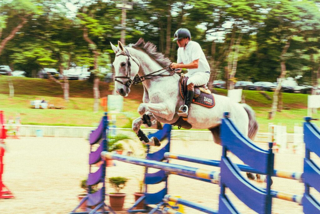 Skilled jockey and horse in mid-air during an equestrian jump