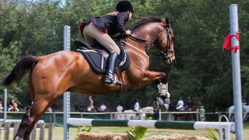 A female jockey skillfully jumps with her horse during an outdoor equestrian competition.