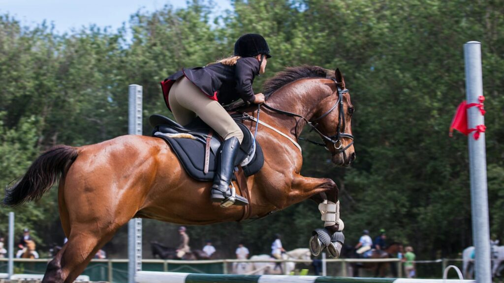 A woman jockey skillfully jumps with her horse in an outdoor equestrian competition.