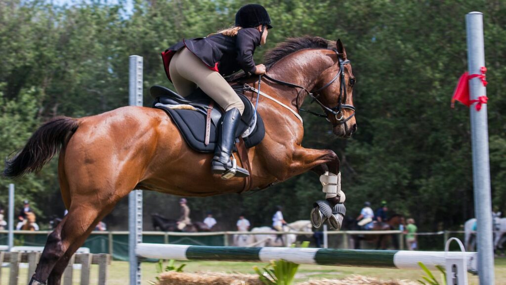 A woman jockey skillfully jumps with her horse in an outdoor equestrian competition.
