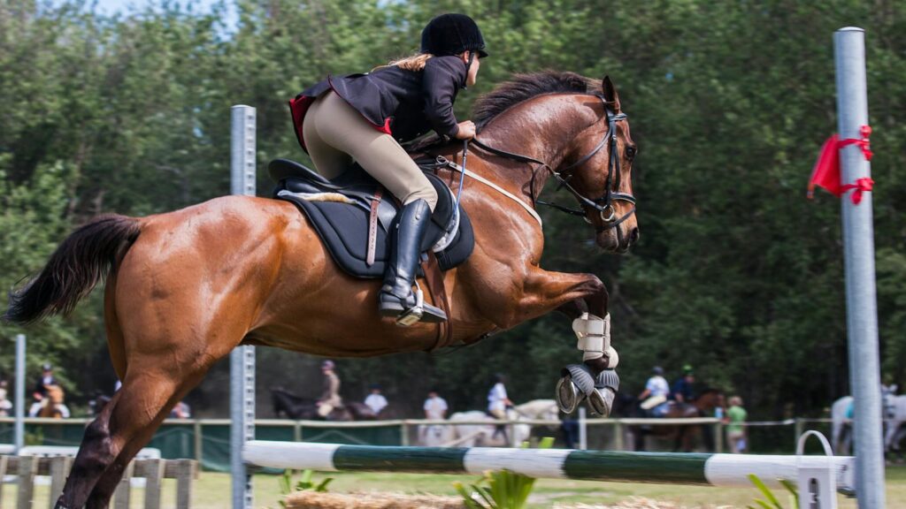 A woman jockey skillfully jumps with her horse in an outdoor equestrian competition.