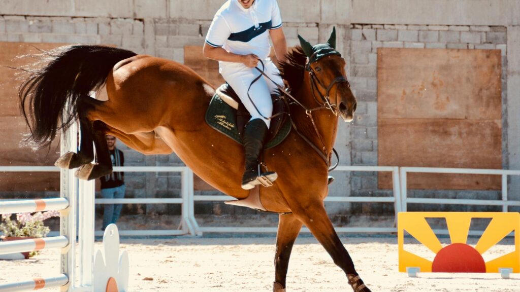 A thrilling equestrian show jumping competition featuring a skilled rider and horse in Riyadh, Saudi Arabia.